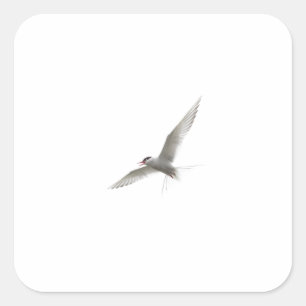 FREE BIRD SQUARE STICKER