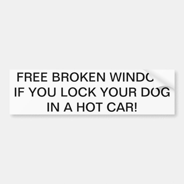 FREE BROKEN WINDOW BUMPER STICKER (Front)