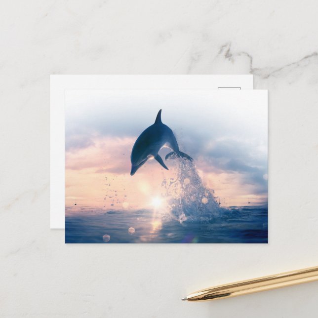 Free Dolphin Postcard (Front/Back In Situ)