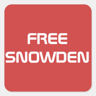 Free Edward Snowden Square Sticker