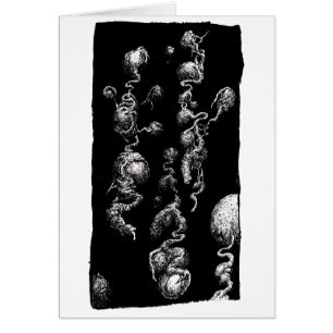 Free-floating Aberrations,