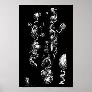 Free-floating Aberrations Poster