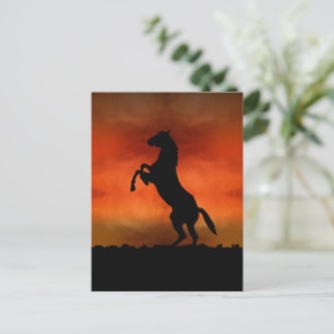 Free Horse At Sunset Postcard