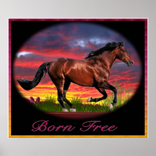 free horse poster art (Front)