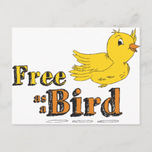 Free Like a Bird Free As A Bird Yellow Flying Bird Postcard