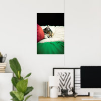 FREE PALESTINE Flag Cat