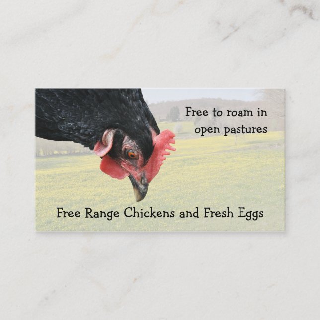 Free range black hen business card (Front)