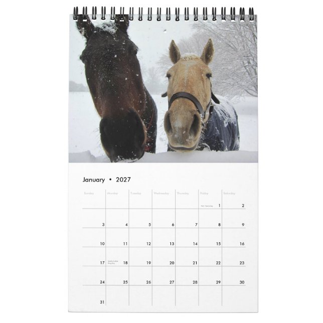 Free Range! Calendar (Jan 2027)