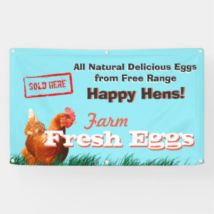Free Range Chicken Eggs Sold Here Banner