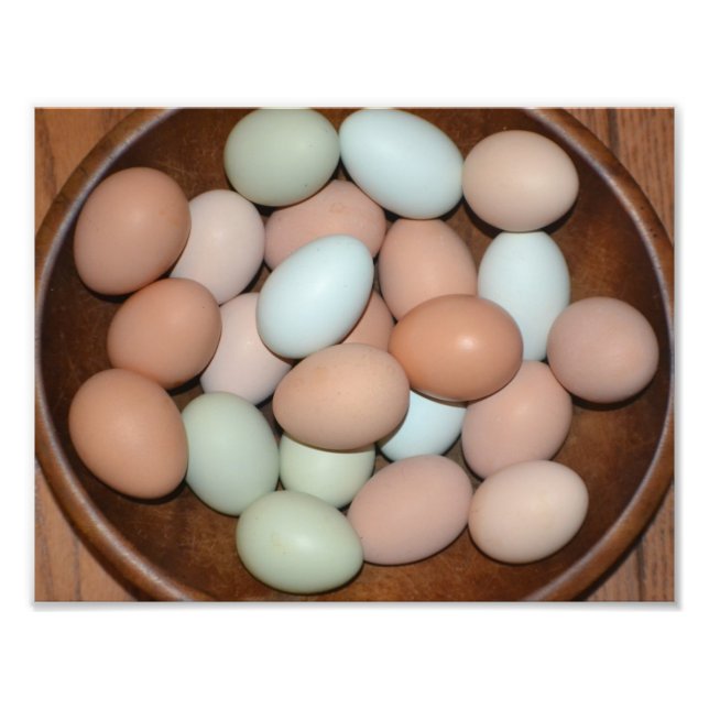 Free Range Egg Photo Print (Front)