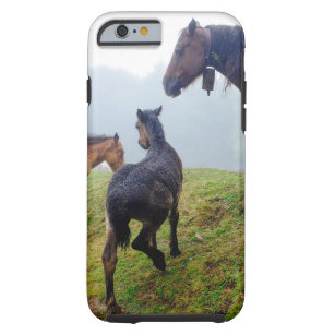 Free range horses tough iPhone 6 case