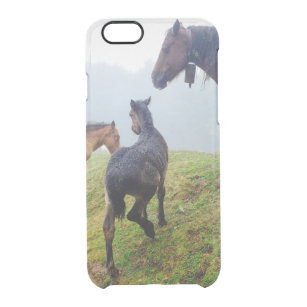 Free range horses clear iPhone 6/6S case