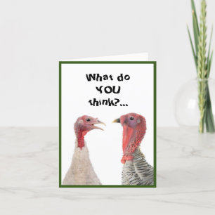 Free-Range Turkey humour Thanksgiving Card
