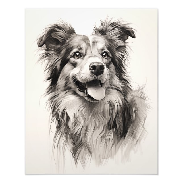 Free Spirit Dog Black and White Photo Print (Front)
