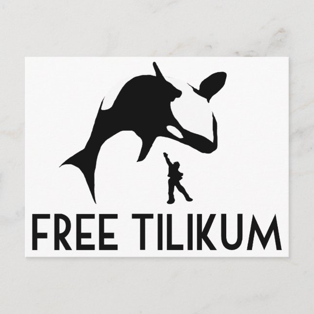 Free Tilikum Save the Orca Killer Whale Postcard (Front)