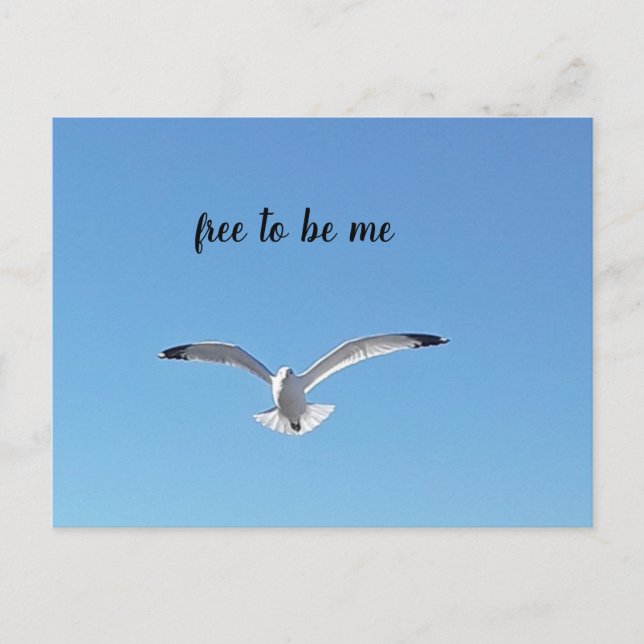 free to be me bird in flight postcard (Front)