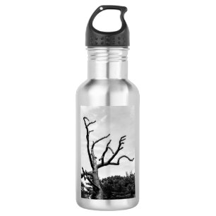 free tree 532 ml water bottle