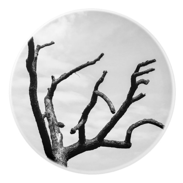 free tree ceramic knob (Front)