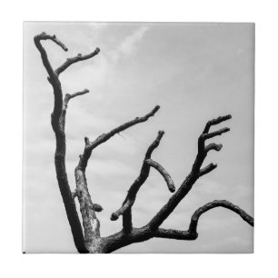 free tree ceramic tile