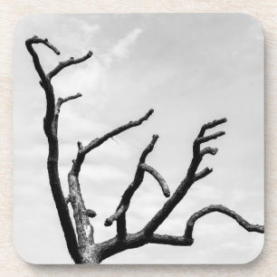 free tree coaster