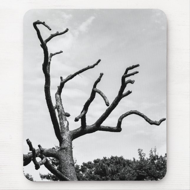 free tree mouse pad (Front)