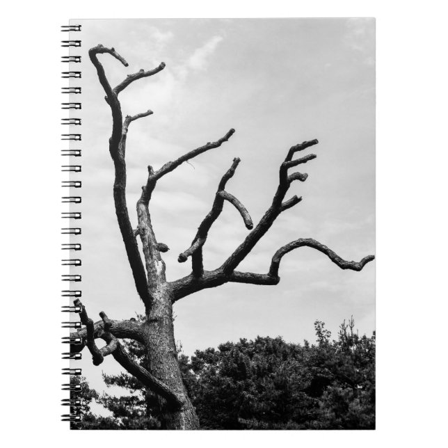free tree notebook (Front)