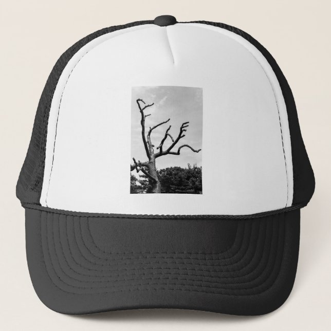 free tree trucker hat (Front)