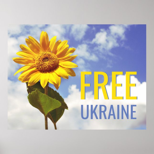 Free Ukraine Blue Yellow Sunflower Peace Poster (Front)