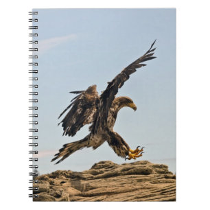 Freebird Notebook