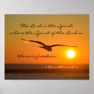 Freedom Bible Verse, Bird Flying at Sunset Poster