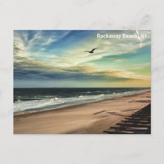 Freedom Bird Postcard