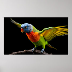 🌈 Freedom Flight Lorikeet - Dynamic Rainbow Poster