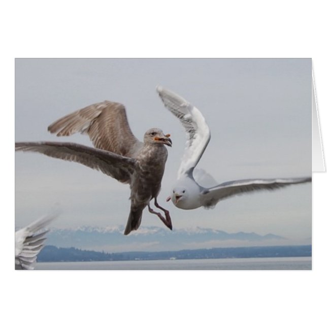 freedom fries 2 (Front Horizontal)