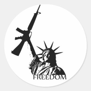 Freedom - Got guns? (Large) Classic Round Sticker