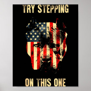 Freedom independence 4th of july usa flag patrioti poster