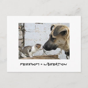 Freedom = Liberation Postcard