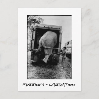 Freedom = Liberation Postcard