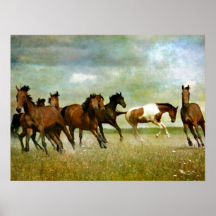 Freedom motivational artworks - Running horses ins Poster