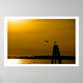 Freedom of Flight Poster