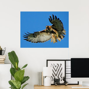 Freedom of the Skies Red'Tailed Hawk Poster