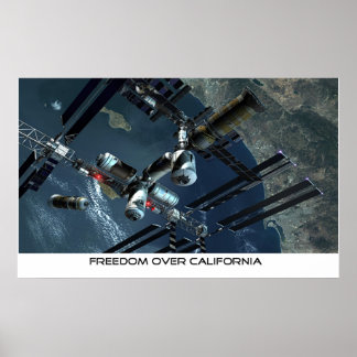 Freedom over California Poster