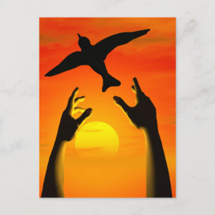 Freedom Postcard