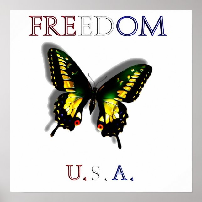 Freedom Poster (Front)