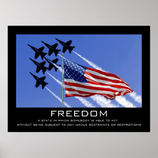 Freedom Poster