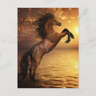 Freedom Rearing Wild Horse Postcard