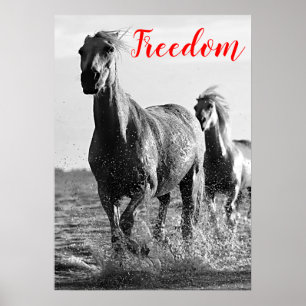 Freedom Red Black White Running Horses Poster