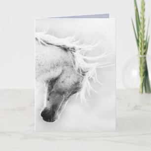 Freedom's Head Shake Wild Horse Greeting Card