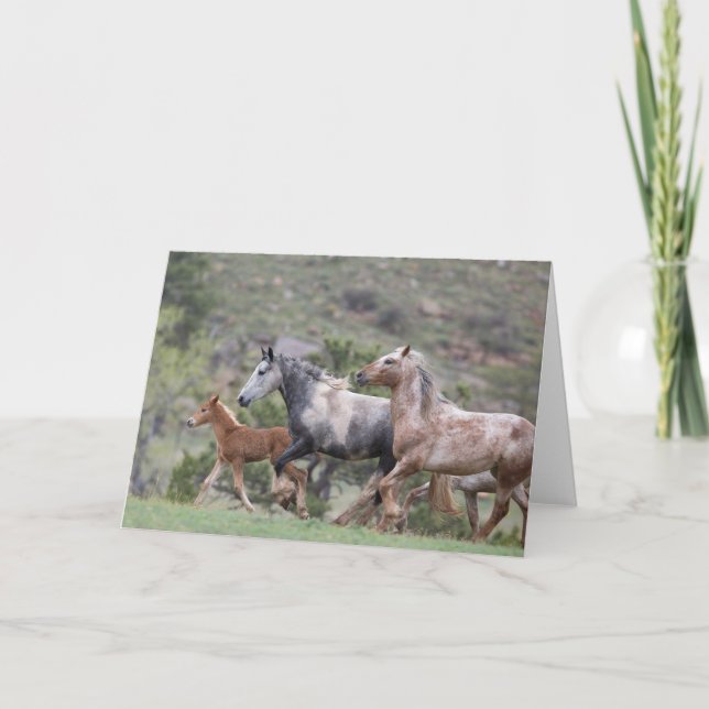 Freedom's Run II: Galloping to Freedom Greeting Card (Front)