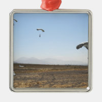 Freefall parachute jumpers