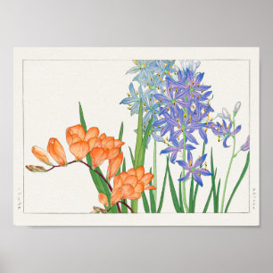 Freesia, African lily by Tanigami Konan Poster